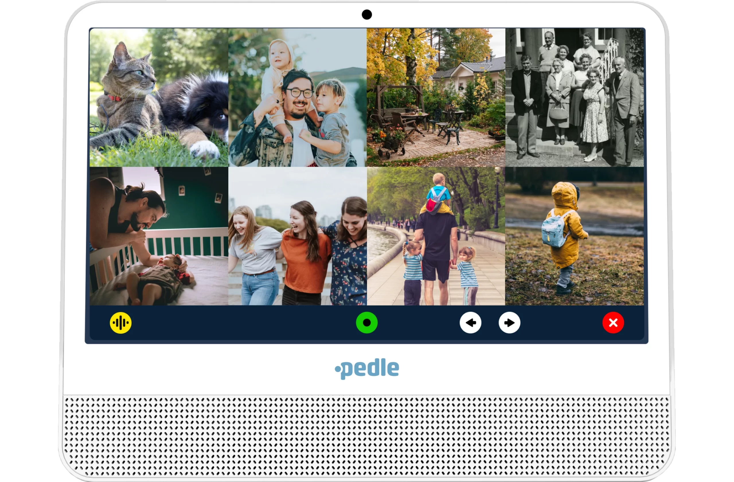 Pedle device and interface